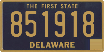 DE license plate 851918