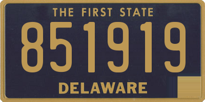 DE license plate 851919