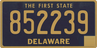 DE license plate 852239