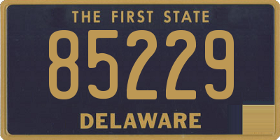 DE license plate 85229