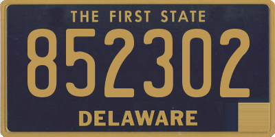 DE license plate 852302