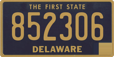 DE license plate 852306