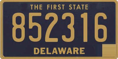 DE license plate 852316