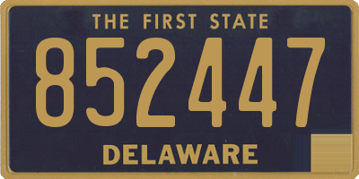 DE license plate 852447
