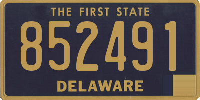 DE license plate 852491