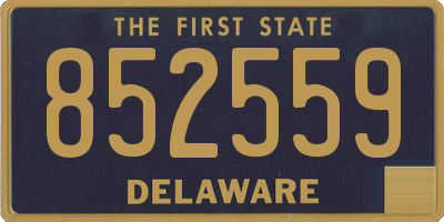 DE license plate 852559