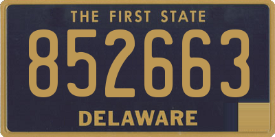 DE license plate 852663
