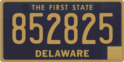 DE license plate 852825