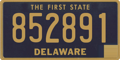 DE license plate 852891
