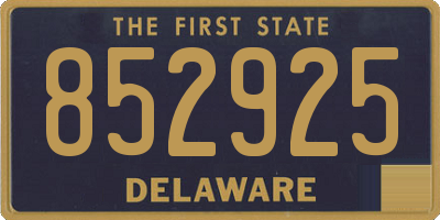 DE license plate 852925