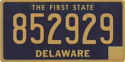 DE license plate 852929