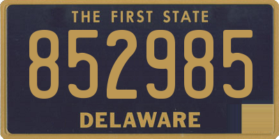 DE license plate 852985