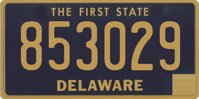 DE license plate 853029
