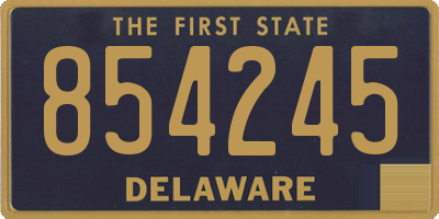 DE license plate 854245