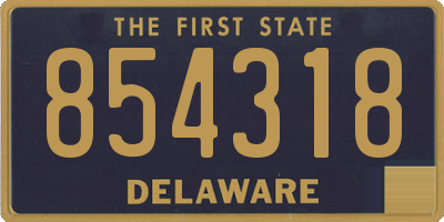 DE license plate 854318