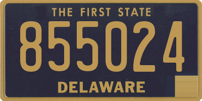 DE license plate 855024