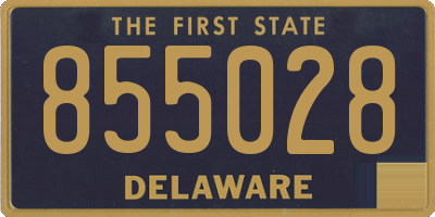 DE license plate 855028