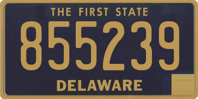 DE license plate 855239