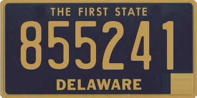 DE license plate 855241