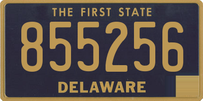 DE license plate 855256