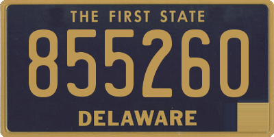 DE license plate 855260