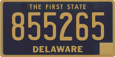 DE license plate 855265