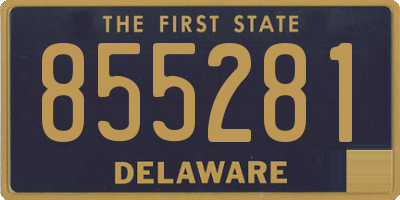 DE license plate 855281
