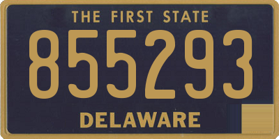 DE license plate 855293