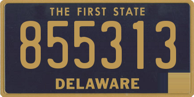 DE license plate 855313