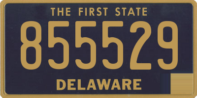 DE license plate 855529