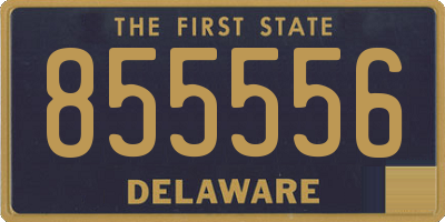 DE license plate 855556
