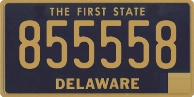 DE license plate 855558