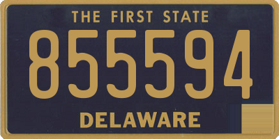 DE license plate 855594