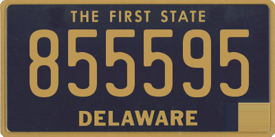 DE license plate 855595