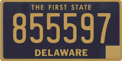 DE license plate 855597
