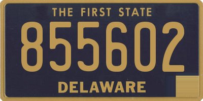 DE license plate 855602