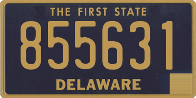 DE license plate 855631