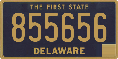 DE license plate 855656