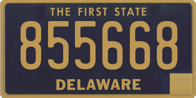 DE license plate 855668