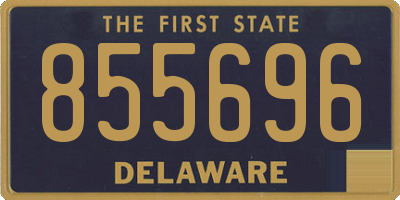 DE license plate 855696