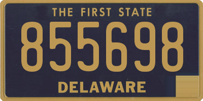 DE license plate 855698