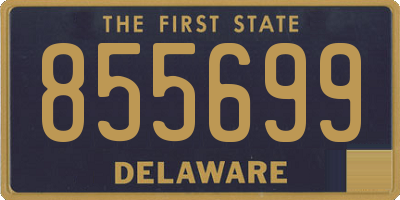 DE license plate 855699