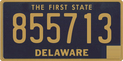 DE license plate 855713