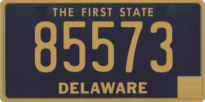 DE license plate 85573