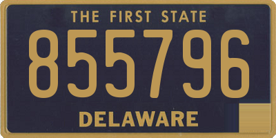 DE license plate 855796
