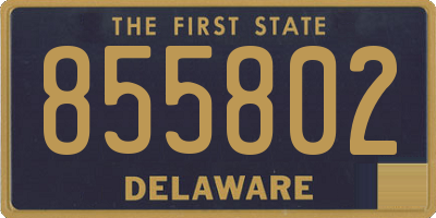 DE license plate 855802