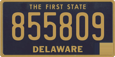 DE license plate 855809