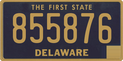 DE license plate 855876
