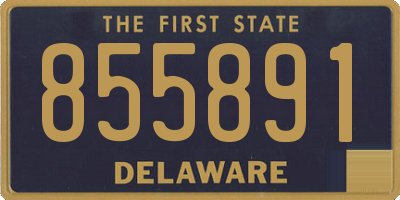 DE license plate 855891