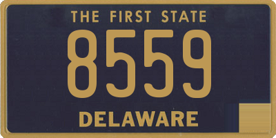 DE license plate 8559